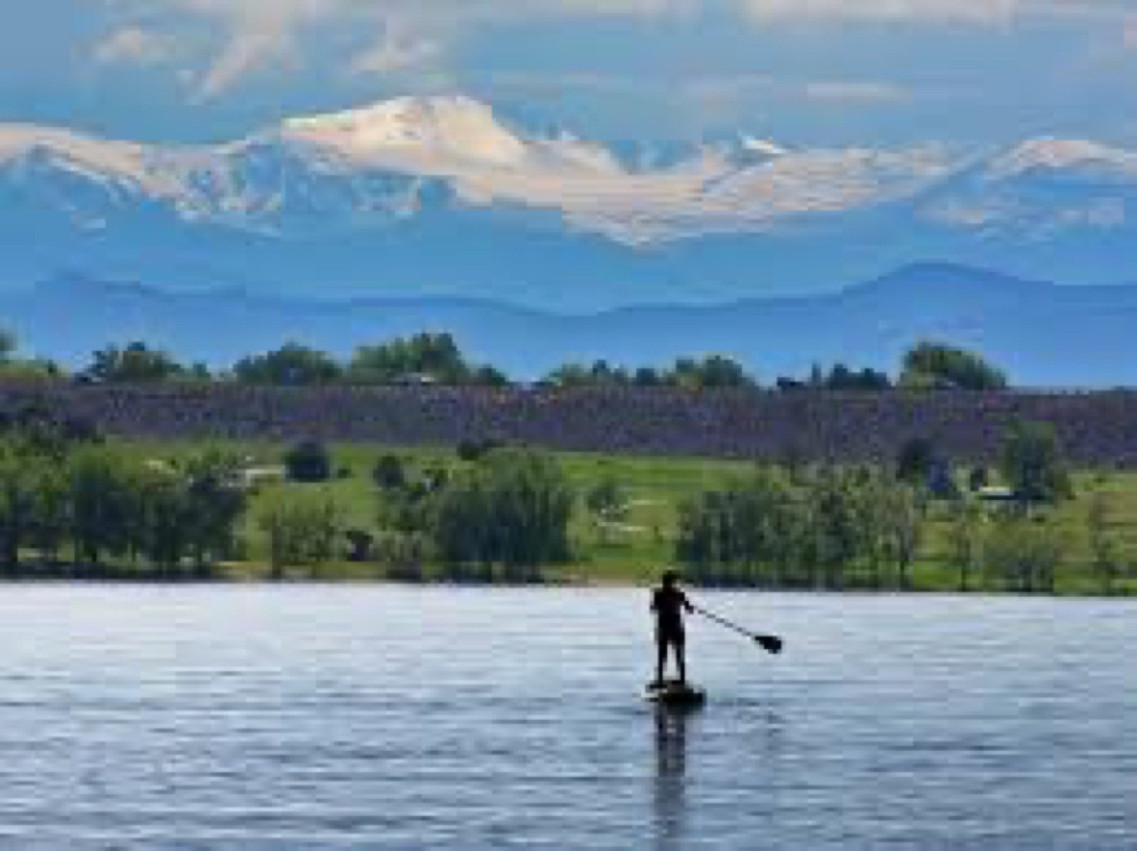 Life on the Lake