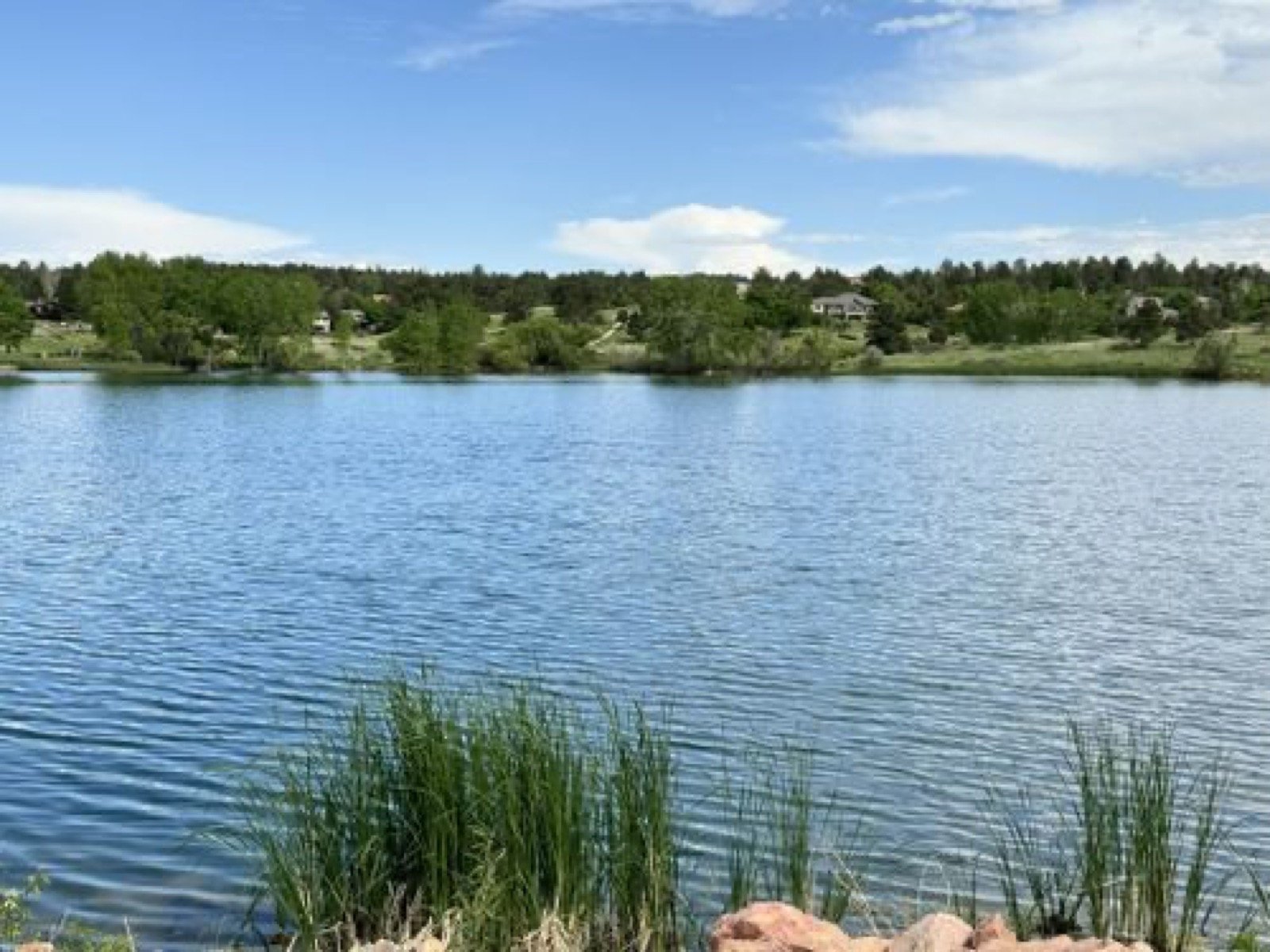 Life on the Lake