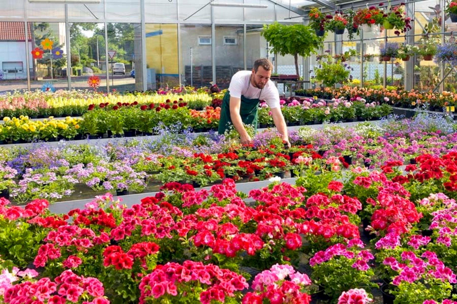 How Does Your Garden Grow?