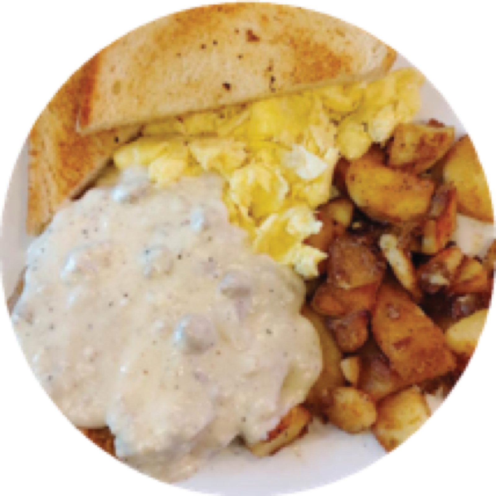 The Best Dishes in Town