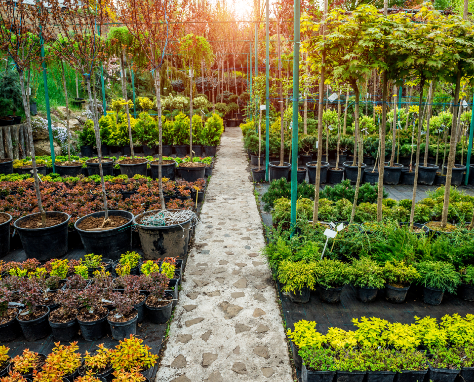 How Does Your Garden Grow?