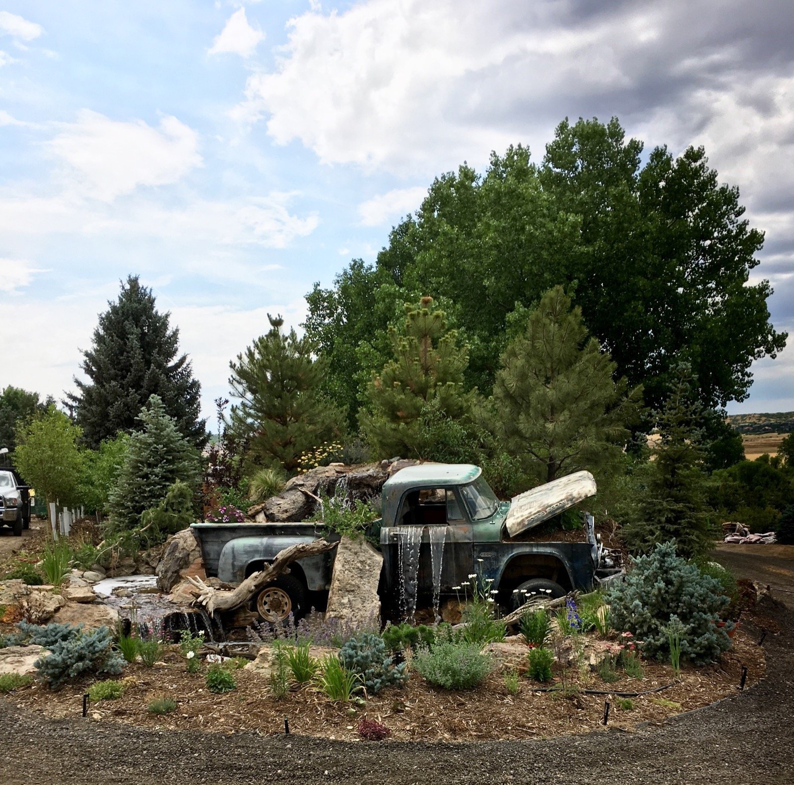 How Does Your Garden Grow?